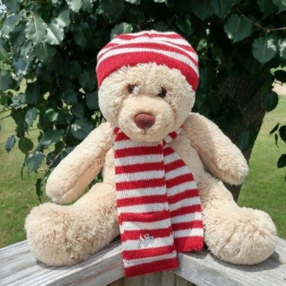 super soft teddy